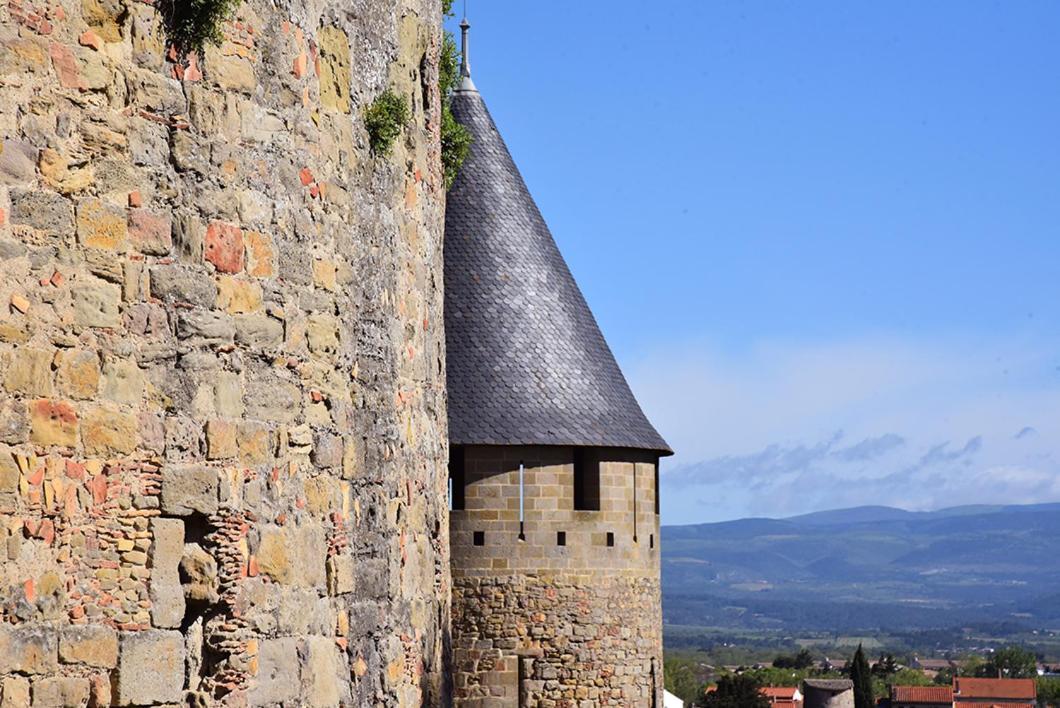 Tout Confort ! Climatisation, Centre-Ville, Parking, Terrasse, Wifi, Netflix Carcassonne Eksteriør bilde