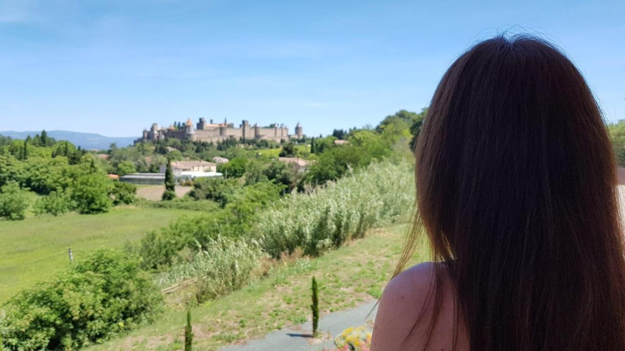 Tout Confort ! Climatisation, Centre-Ville, Parking, Terrasse, Wifi, Netflix Carcassonne Eksteriør bilde